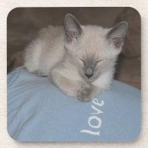 Siamese kitten onderzetter