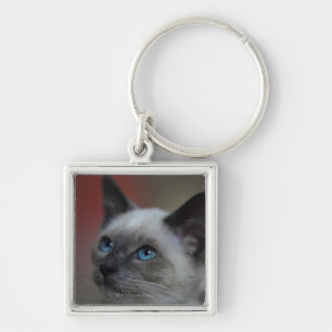 Siamese kitten sleutelhanger
