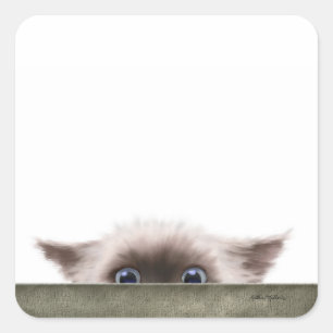 Siamese Kitten Sluipend Naar Jou Cartoon Vierkante Sticker