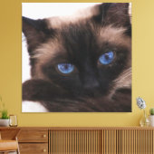 Siamese Kitten Sweetie Face Canvas Afdruk (Insitu (Woonkamer))