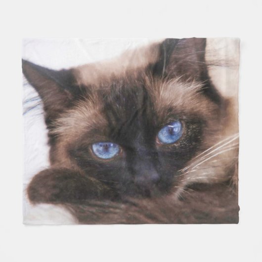 Siamese Kitten Sweetie Face Fleece Blanket (Voorkant (Horizontaal))