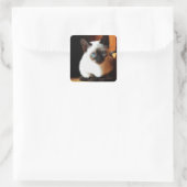 Siamese Kitten Vierkante Sticker (Tas)