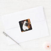 Siamese Kitten Vierkante Sticker (Envelop)