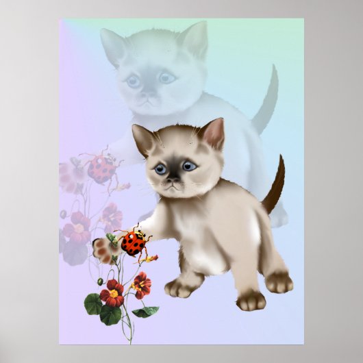 Siamese Kitten VS Ladybug Poster (Voorkant)