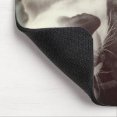 Siamese Kitten woont liefdevol op het hoofd van La Muismat (Hoek)