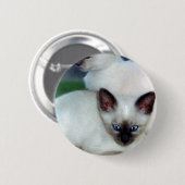 Siamese Kittens Button (Voorkant /achterkant)