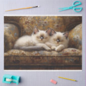 Siamese Kittens Napping Couch Decoupage Tissuepapier (Craft)