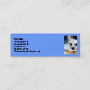 Siamese Kittens-profielkaart Mini Visitekaartje