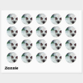 Siamese Kittens Sticker (Vel)