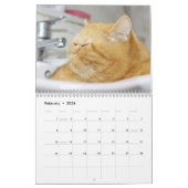 Siamese Kitty Cat Cute 2021 Calendar Kalender (Feb 2026)