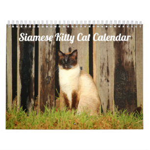 Siamese Kitty Cat Cute 2021 Calendar Kalender