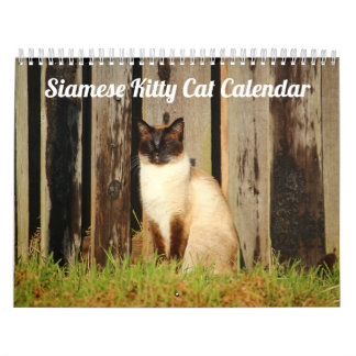 Siamese Kitty Cat Cute 2021 Calendar Kalender