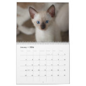 Siamese Kitty Cat Cute 2021 Calendar Kalender (Jan 2026)