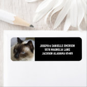 Siamese Kitty Étiquettes de adresse (En situation)