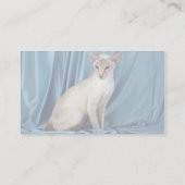 Siamese, lila punt visitekaartje (Achterkant)