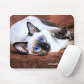 Siamese Royalty-Muismat Muismat (Met muis)