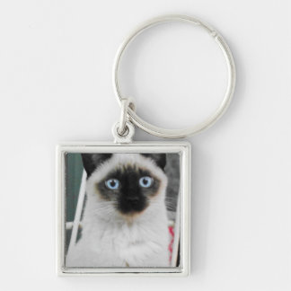 Siamese Sleutelhanger