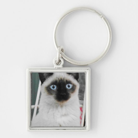 Siamese Sleutelhanger (Voorkant)