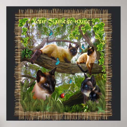 Siamese Sophie onze kat in haar tuin Poster (Voorkant)