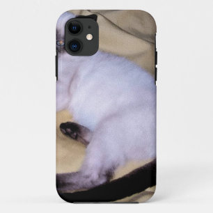 Siamese van het de kunsthuisdier van het iPhone 11 hoesje