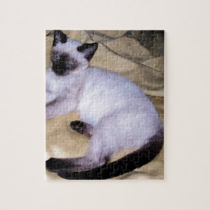 Siamese van het de kunsthuisdier van het legpuzzel