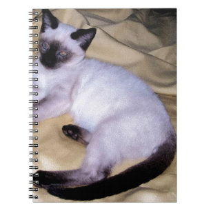 Siamese van het de kunsthuisdier van het notitieboek