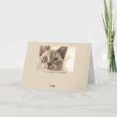 Siamese verjaardag kaart (Achterkant)