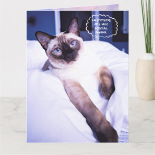 Siamese Verjaardagskaart Kaart