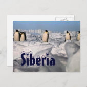 Siberia arctic winter briefkaart (Voorkant / Achterkant)