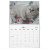 SIBERIAN CATS 2007 Agenda... Kalender (Mar 2026)