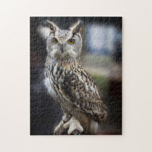 Siberian Eagle Owl Legpuzzel