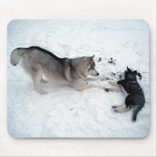 Siberian Huskies - Mousepad Muismat
