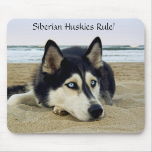 Siberian Huskies Rule Mousepad Muismat