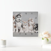 Siberian Huskies Square Wall klok (Huis)