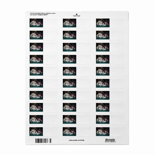 Siberian Husky Address labs Etiket (Full Sheet)