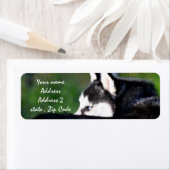 Siberian Husky Adresetiketten Etiket (Insitu)
