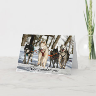 Siberian Husky Afstuderen Card Kaart