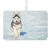 Siberian Husky Air Freshener Luchtverfrisser (Achterkant)