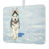 Siberian Husky Air Freshener Luchtverfrisser (Links)
