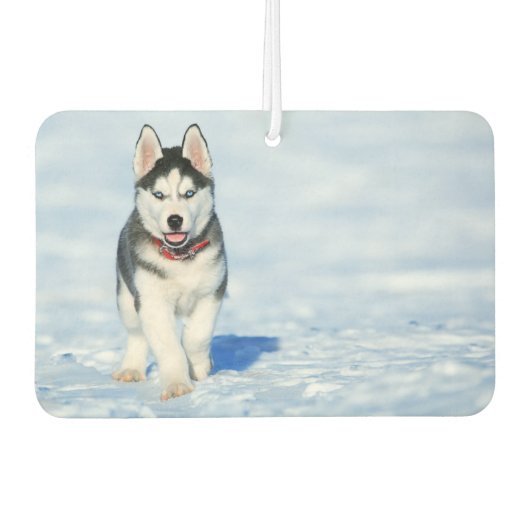 Siberian Husky Air Freshener Luchtverfrisser (Voorkant)