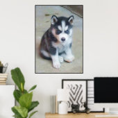 Siberian Husky Art poster (Thuiskantoor)