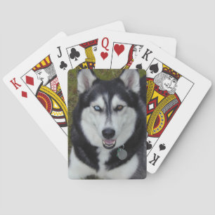 Siberian Husky Blue Brown Eyes Pokerkaarten