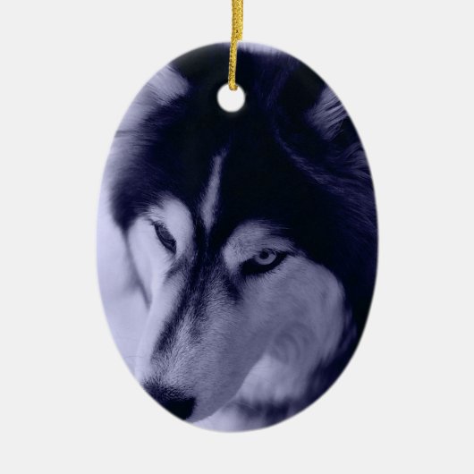 Siberian Husky Blue Tint Ornament (Voorkant)