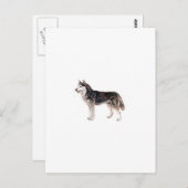 Siberian Husky Briefkaart (Voorkant / Achterkant)