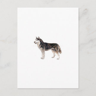 Siberian Husky Briefkaart