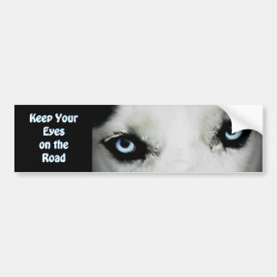 Siberian Husky Bumpersticker