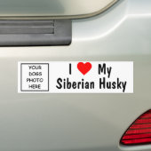 Siberian Husky Bumpersticker (Op auto)