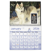 Siberian Husky Calendar Kalender (Jan 2026)