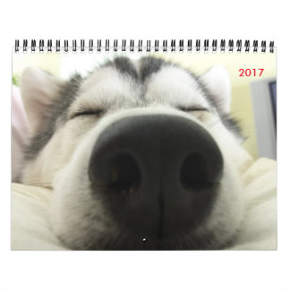 Siberian Husky Calendar Kalender
