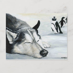 Siberian Husky Dog Art Briefkaart